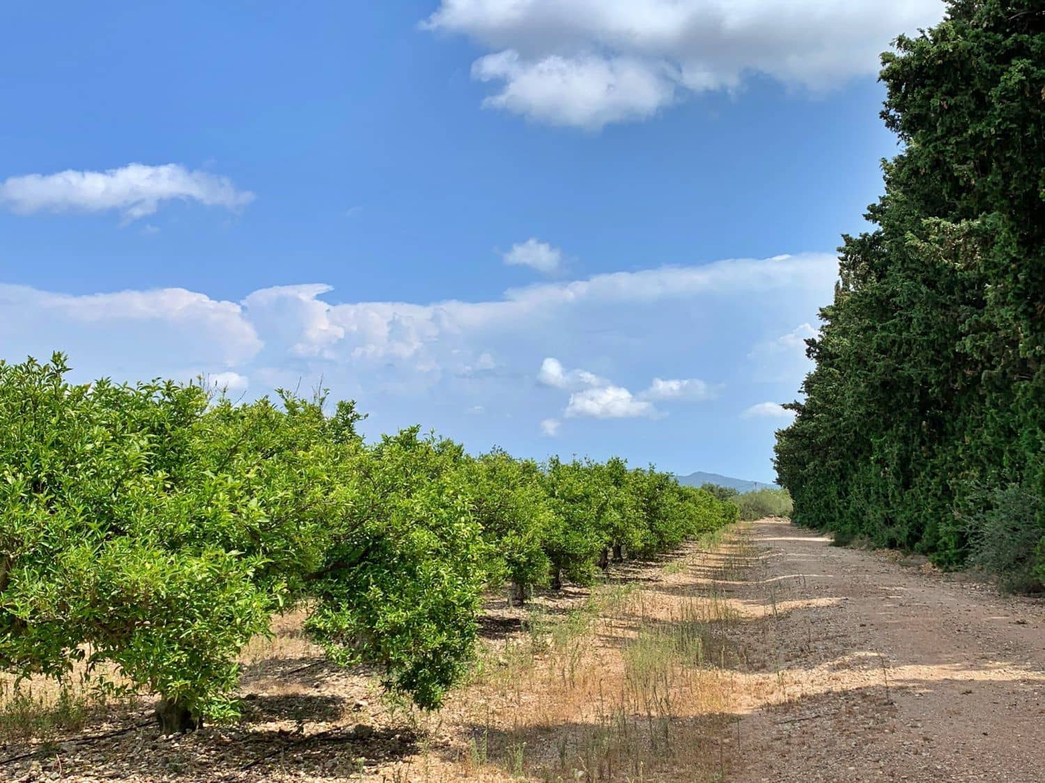 Finca/Landehus til salg i Roquetes - € 380.000 (Ref: 9169458)