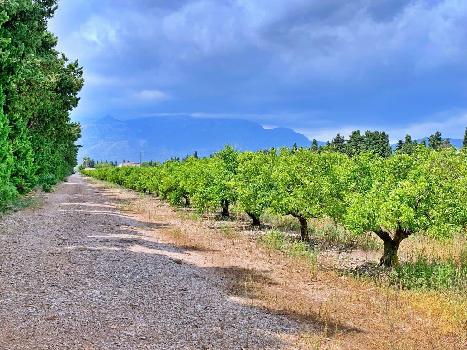 Finca/Landehus til salg i Roquetes - € 380.000 (Ref: 9169458)