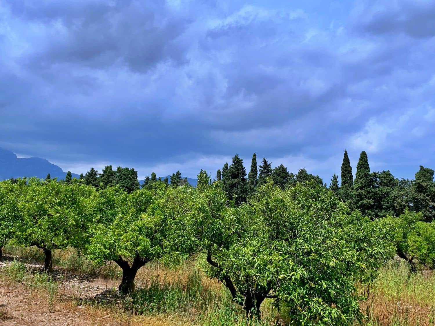 Finca/Landehus til salg i Roquetes - € 380.000 (Ref: 9169458)