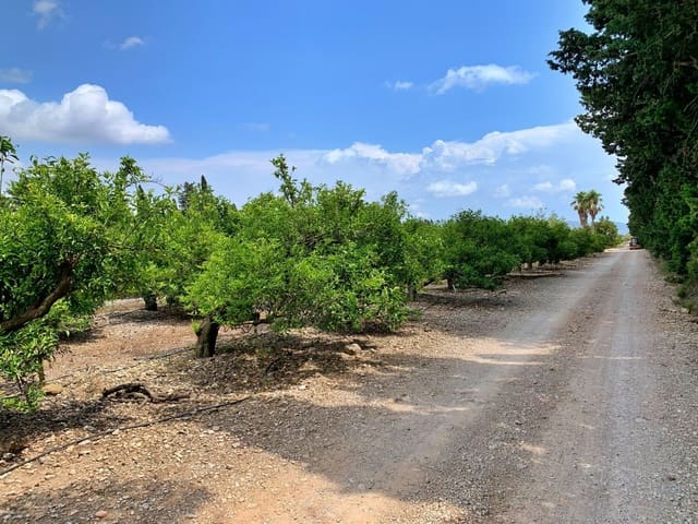 Quinta/Casa Rural para venda em Roquetes - 380 000 € (Ref: 9169458)