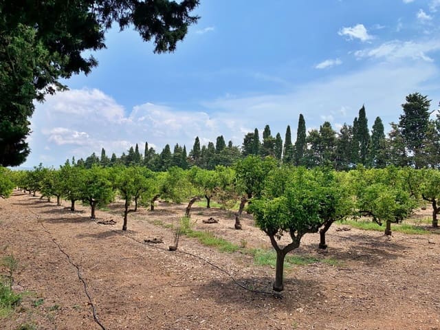 Quinta/Casa Rural para venda em Roquetes - 380 000 € (Ref: 9169458)