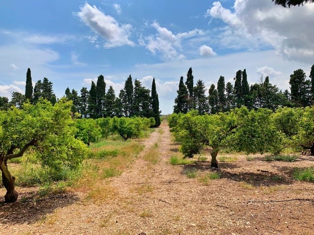 Quinta/Casa Rural para venda em Roquetes - 380 000 € (Ref: 9169458)