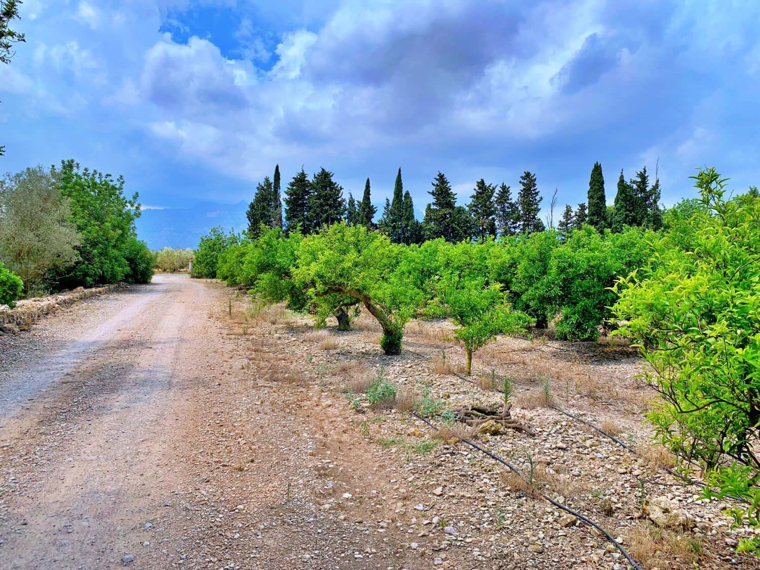 Finca/Landehus til salg i Roquetes - € 380.000 (Ref: 9169458)