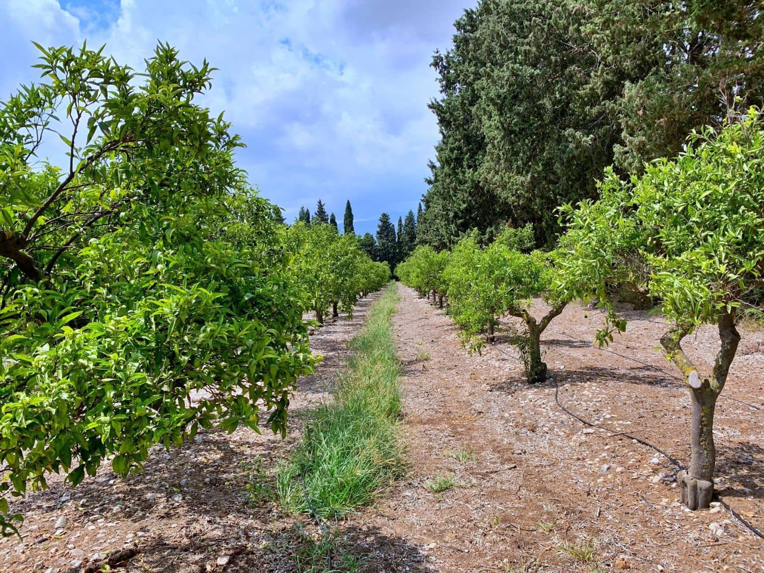 Finca/Landehus til salg i Roquetes - € 380.000 (Ref: 9169458)