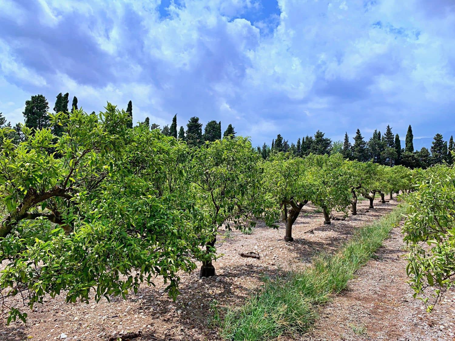 Finca/Landehus til salg i Roquetes - € 380.000 (Ref: 9169458)