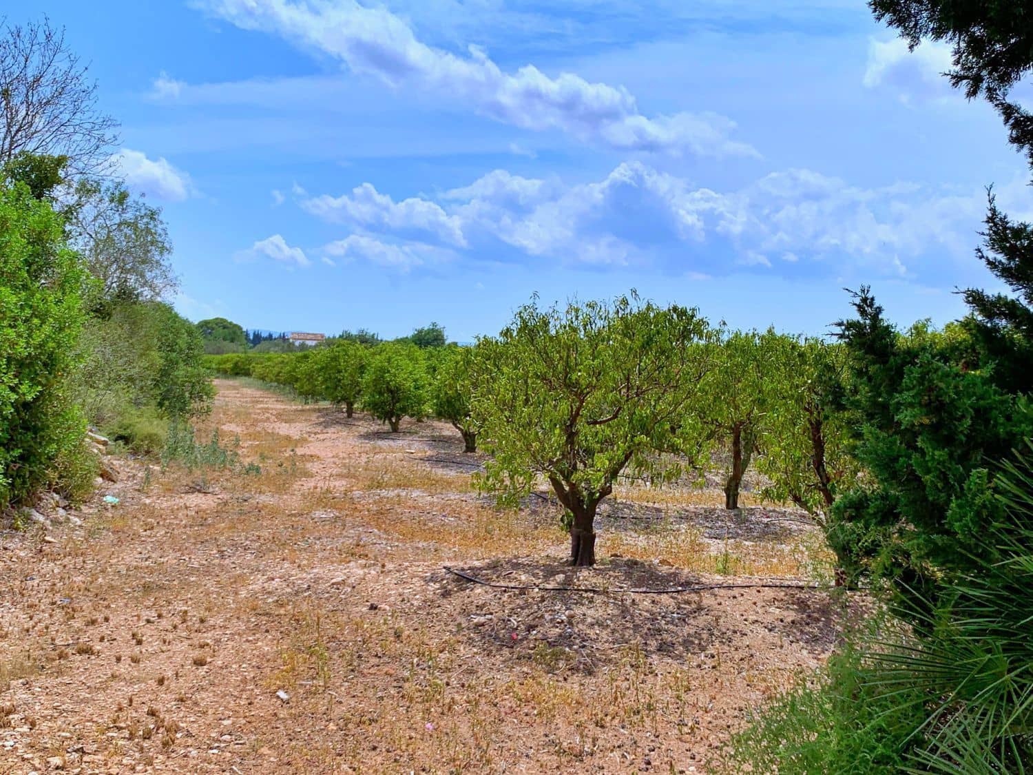 Finca/Landehus til salg i Roquetes - € 380.000 (Ref: 9169458)