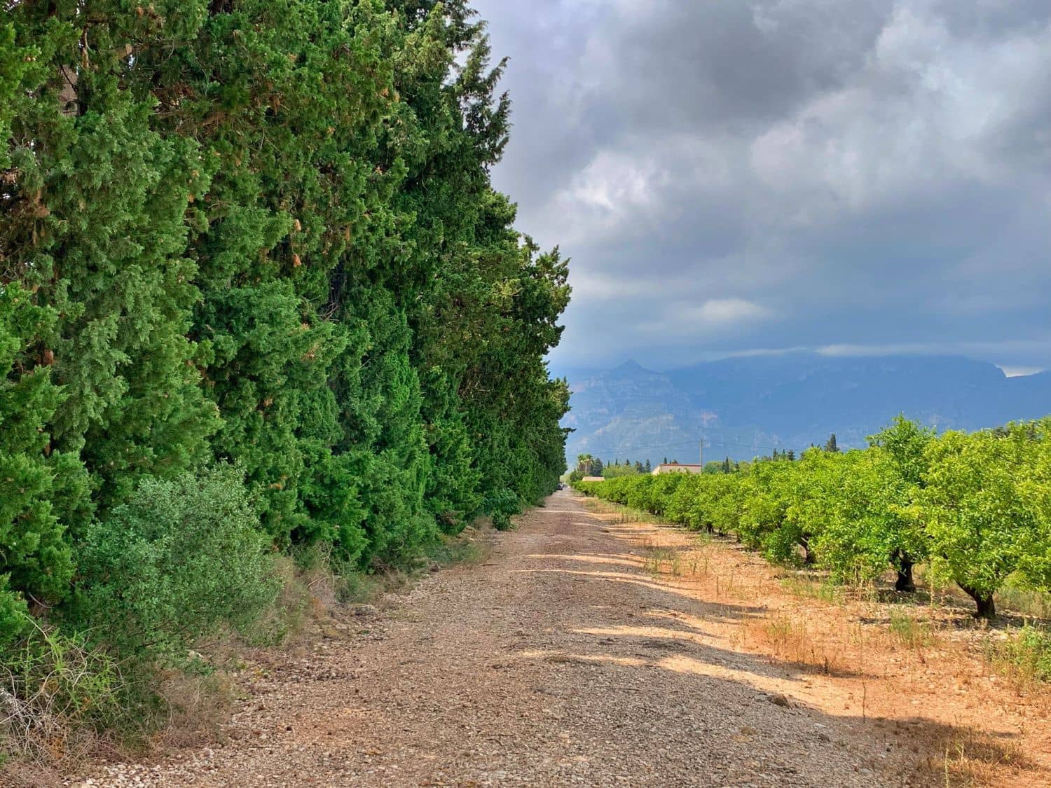 Finca/Landehus til salg i Roquetes - € 380.000 (Ref: 9169458)