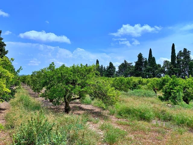 Quinta/Casa Rural para venda em Roquetes - 380 000 € (Ref: 9169458)