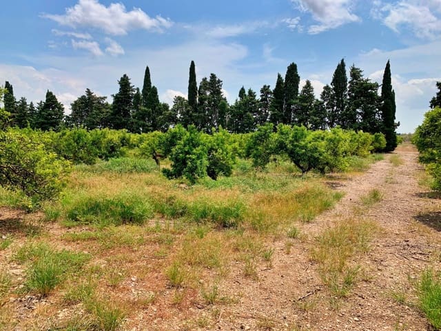 Quinta/Casa Rural para venda em Roquetes - 380 000 € (Ref: 9169458)