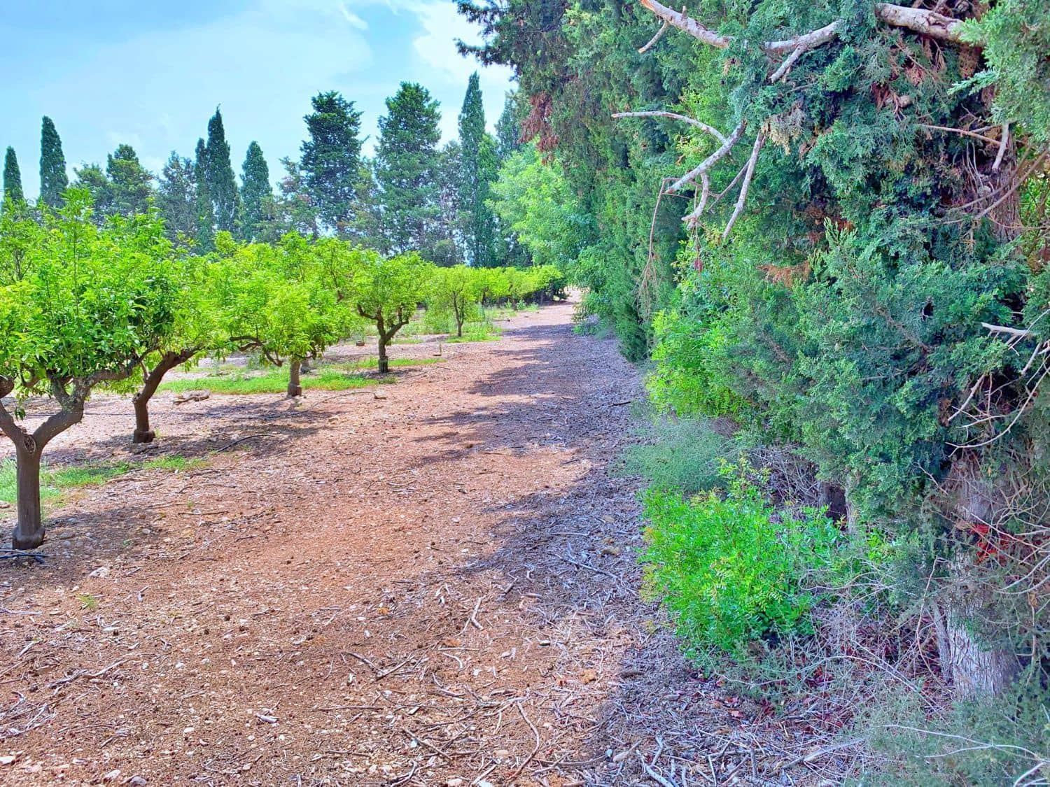 Finca/Landehus til salg i Roquetes - € 380.000 (Ref: 9169458)