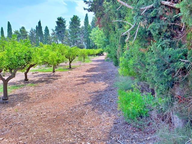Quinta/Casa Rural para venda em Roquetes - 380 000 € (Ref: 9169458)