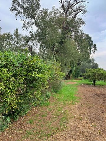 Finca/Maison de Campagne à vendre à Bitem, Tortosa - 42 000 € (Ref: 9169459)