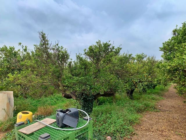 Finca/Maison de Campagne à vendre à Bitem, Tortosa - 42 000 € (Ref: 9169459)