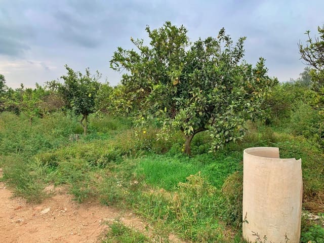 Finca/Maison de Campagne à vendre à Bitem, Tortosa - 42 000 € (Ref: 9169459)