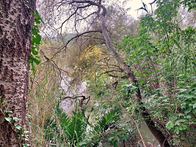 Finca/Maison de Campagne à vendre à Bitem, Tortosa - 42 000 € (Ref: 9169459)