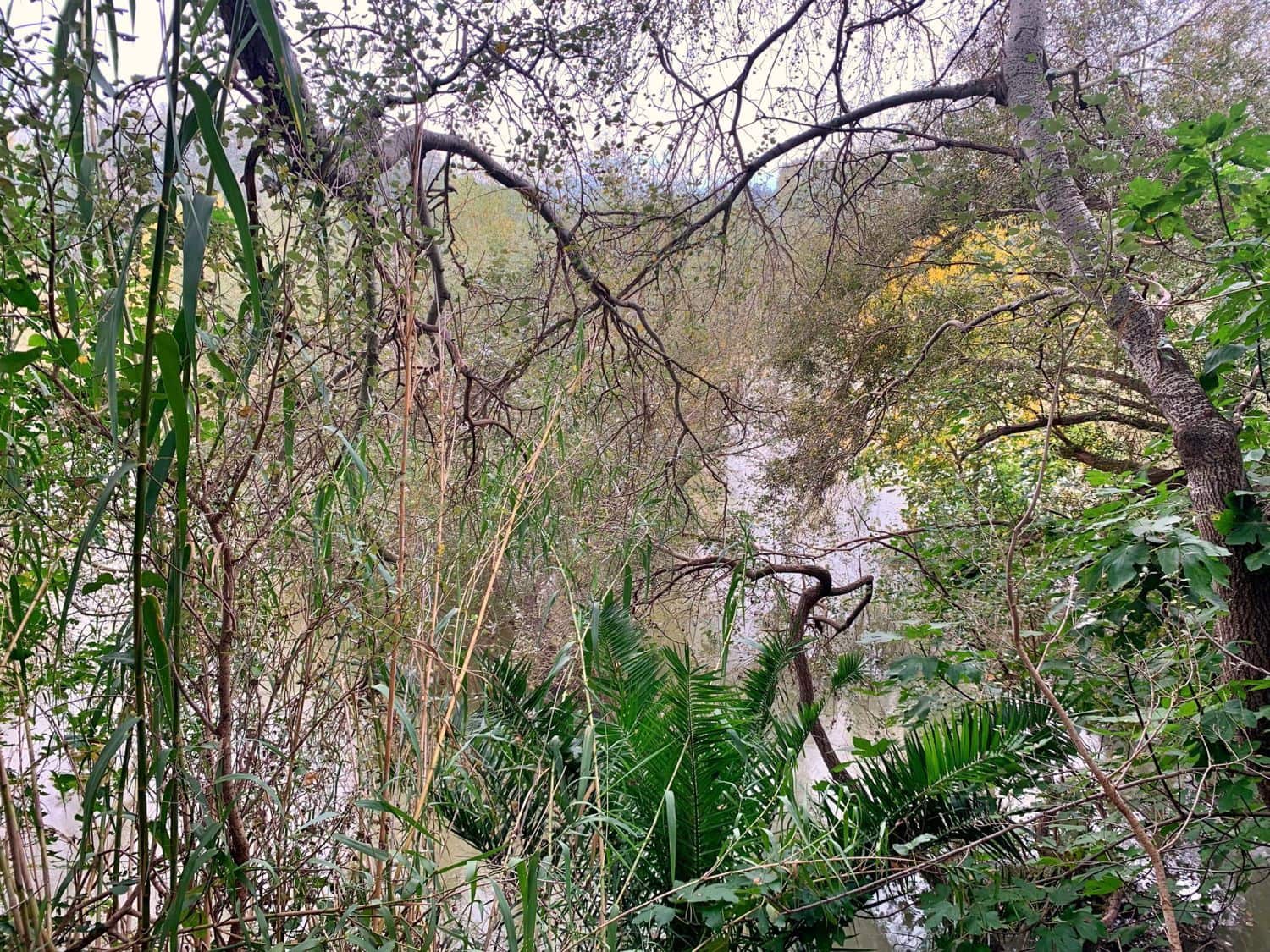 Finca/Landehus til salg i Bitem - € 42.000 (Ref: 9169459)