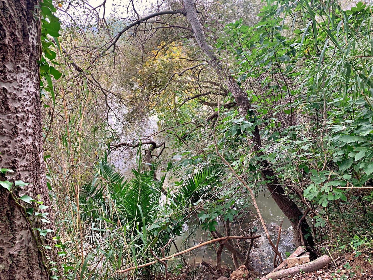 Finca/Landehus til salg i Bitem - € 42.000 (Ref: 9169459)