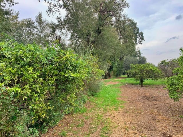 Finca/Maison de Campagne à vendre à Bitem, Tortosa - 42 000 € (Ref: 9169459)