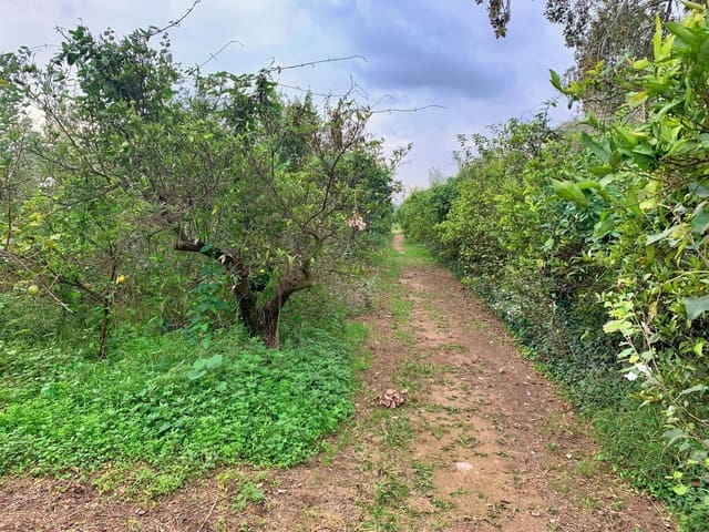 Finca/Maison de Campagne à vendre à Bitem, Tortosa - 42 000 € (Ref: 9169459)