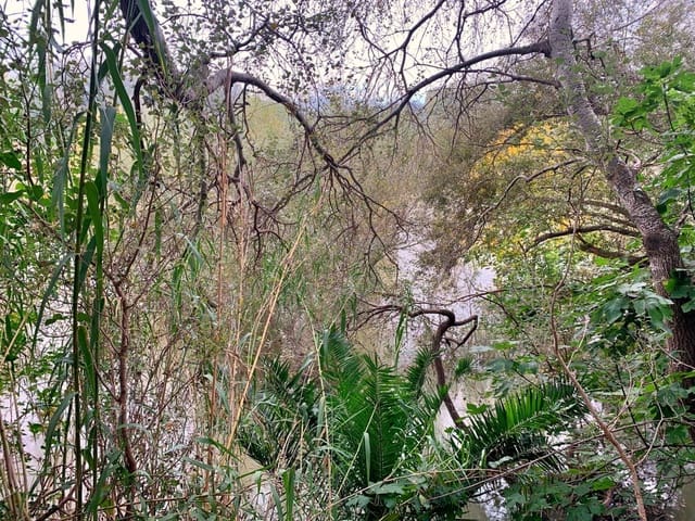 Finca/Maison de Campagne à vendre à Bitem, Tortosa - 42 000 € (Ref: 9169459)