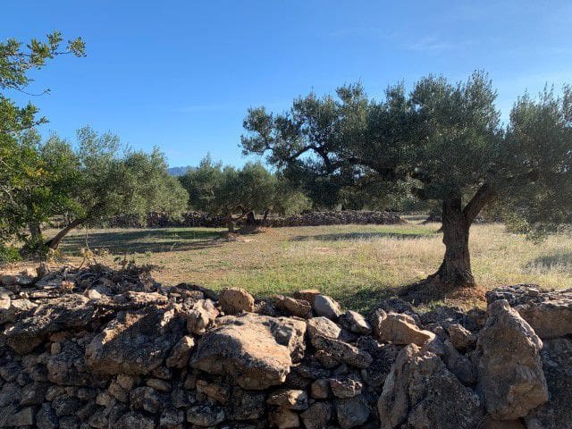 Finca/Landehus til salg i Xerta - € 33.000 (Ref: 9169462)