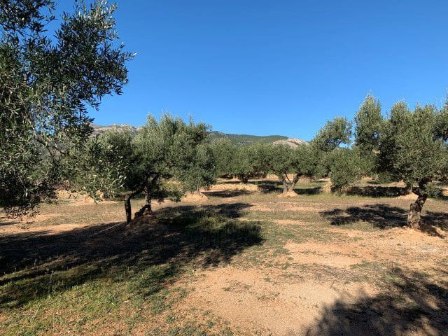 Finca/Landehus til salg i Xerta - € 33.000 (Ref: 9169462)