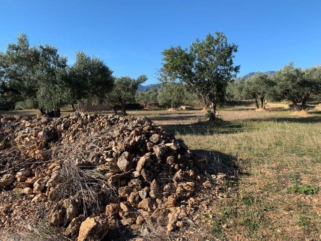 Finca/Landehus til salg i Xerta - € 33.000 (Ref: 9169462)