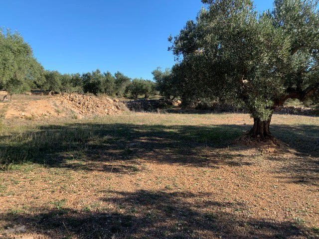 Finca/Landehus til salg i Xerta - € 33.000 (Ref: 9169462)