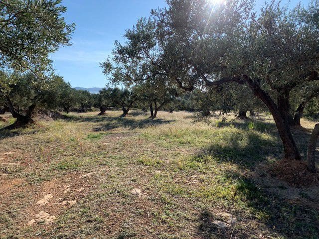 Finca/Landehus til salg i Xerta - € 33.000 (Ref: 9169462)