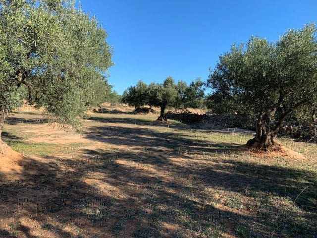 Finca/Landehus til salg i Xerta - € 33.000 (Ref: 9169462)