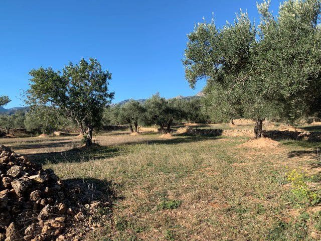 Finca/Landehus til salg i Xerta - € 33.000 (Ref: 9169462)