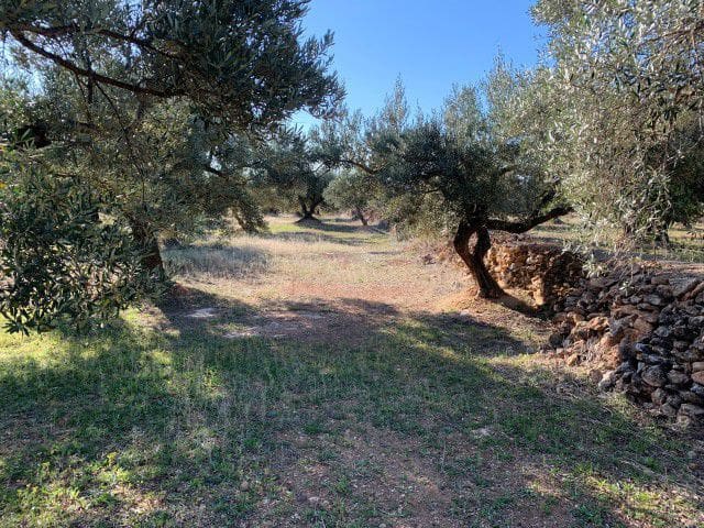 Finca/Landehus til salg i Xerta - € 33.000 (Ref: 9169462)