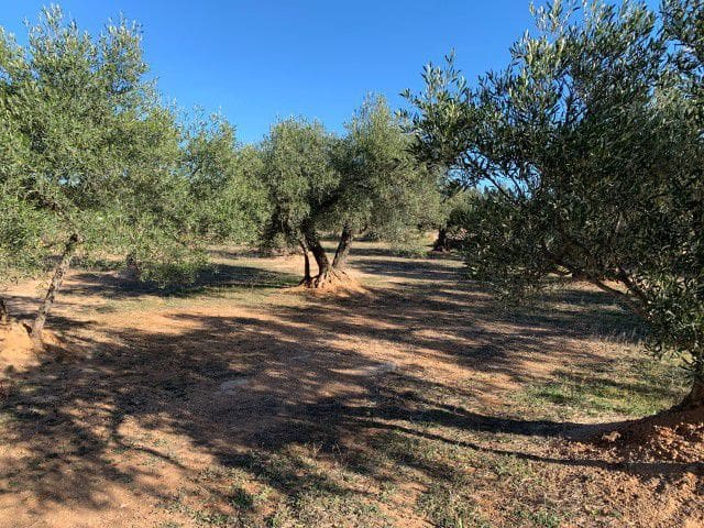 Finca/Landehus til salg i Xerta - € 33.000 (Ref: 9169462)