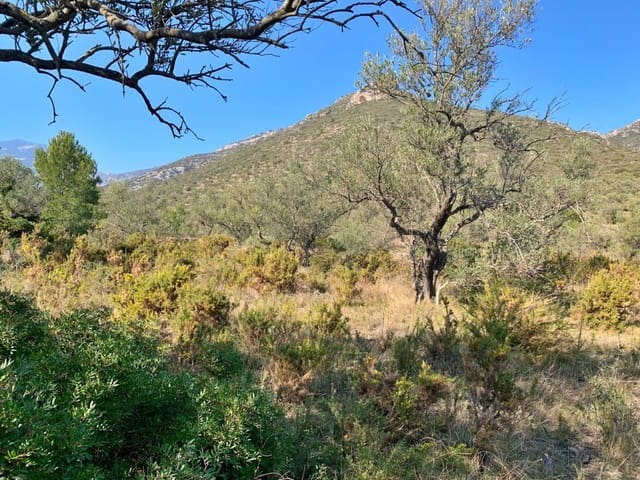 Finca/Landehus til salg i Roquetes - € 23.000 (Ref: 9169463)