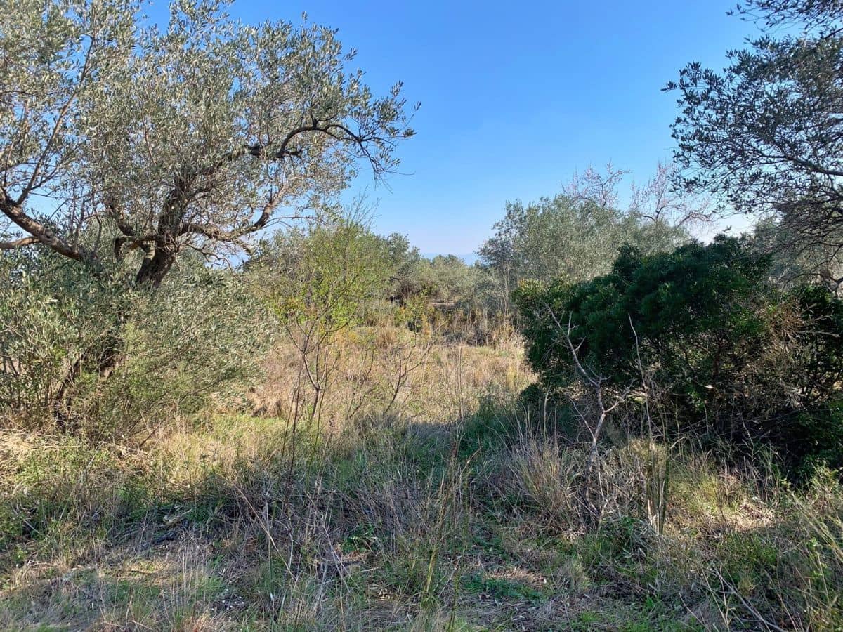 Finca/Landehus til salg i Roquetes - € 23.000 (Ref: 9169463)