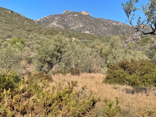 Finca/Landehus til salg i Roquetes - € 23.000 (Ref: 9169463)