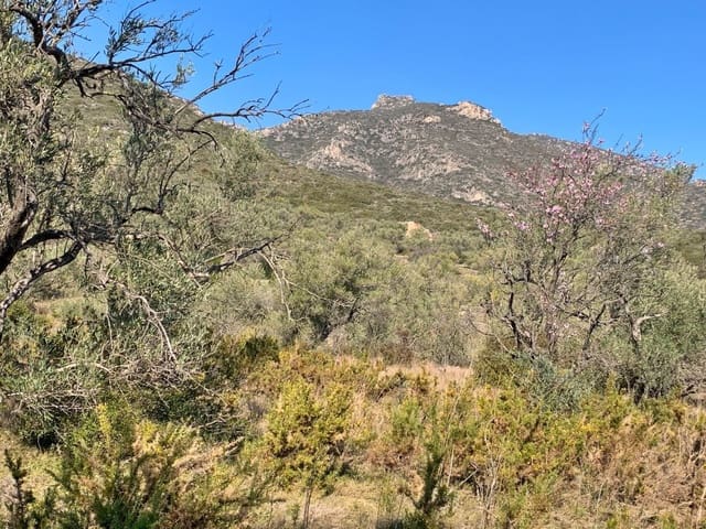 Finca/Landehus til salg i Roquetes - € 23.000 (Ref: 9169463)