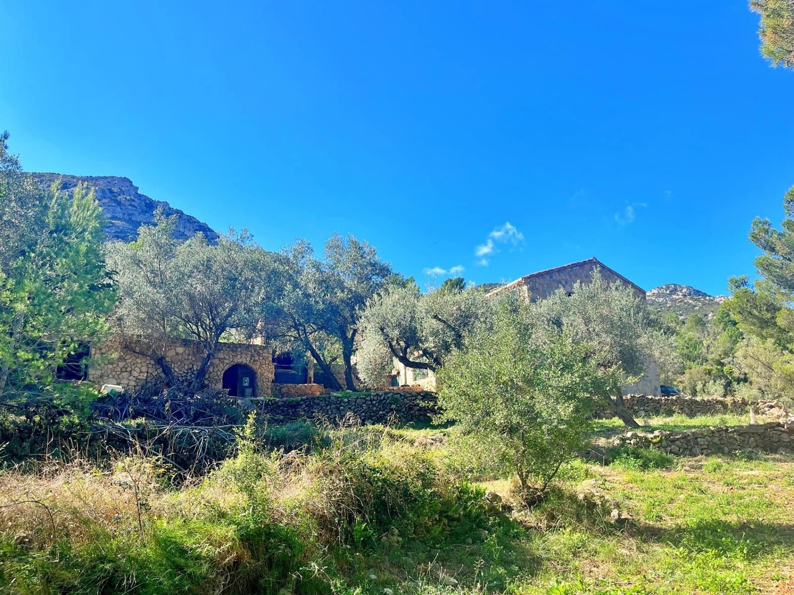 3 chambre Villa/Maison à vendre à Mas de Barberans - 165 000 € (Ref: 9308464)