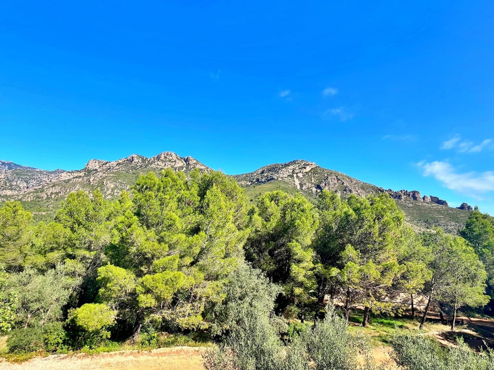 3 chambre Villa/Maison à vendre à Mas de Barberans - 165 000 € (Ref: 9308464)