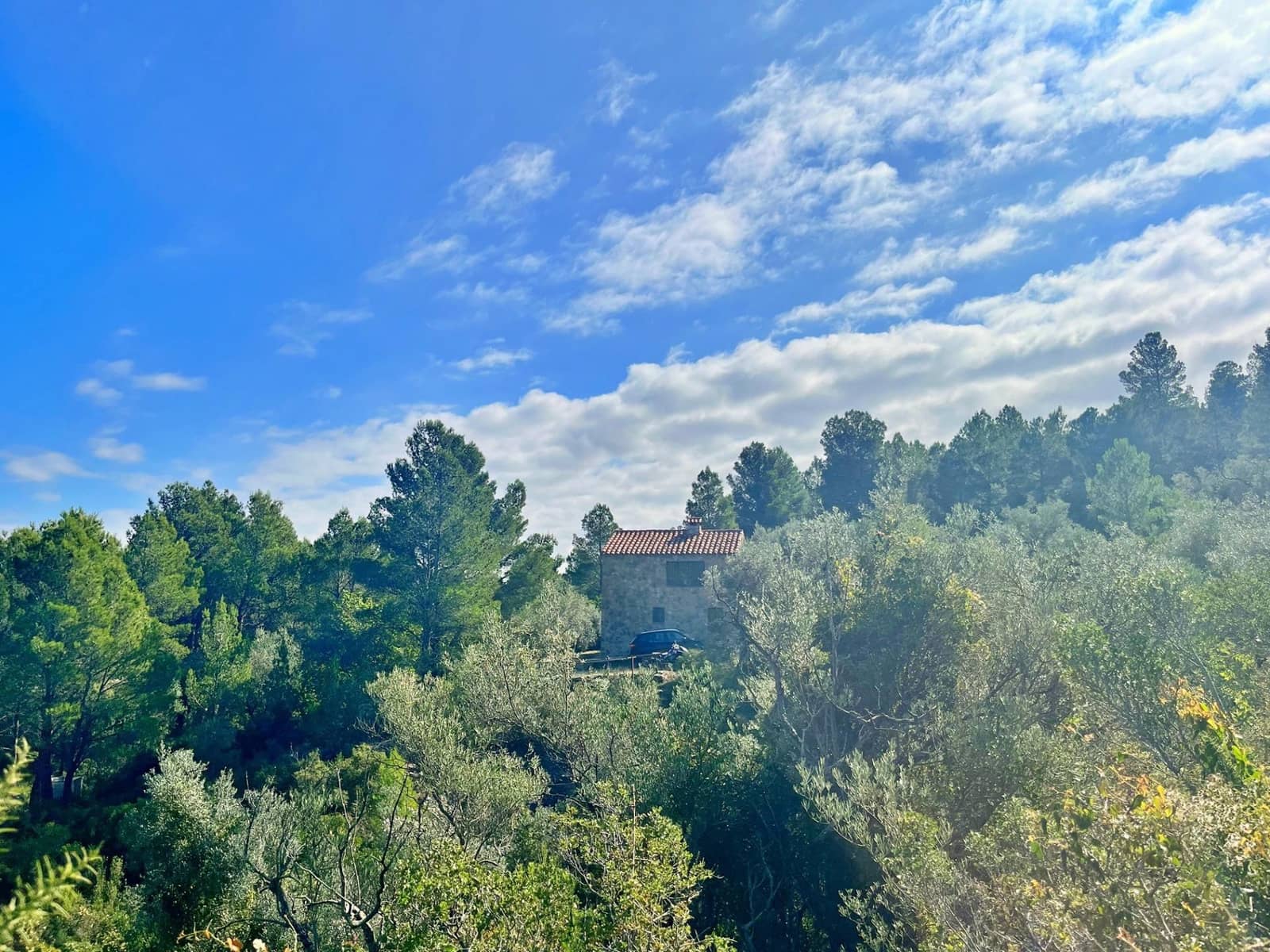 3 chambre Villa/Maison à vendre à Mas de Barberans - 165 000 € (Ref: 9308464)