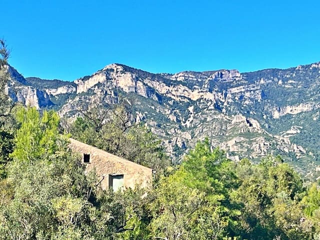 3 bedroom Villa for sale in Mas de Barberans - € 165,000 (Ref: 9308464)