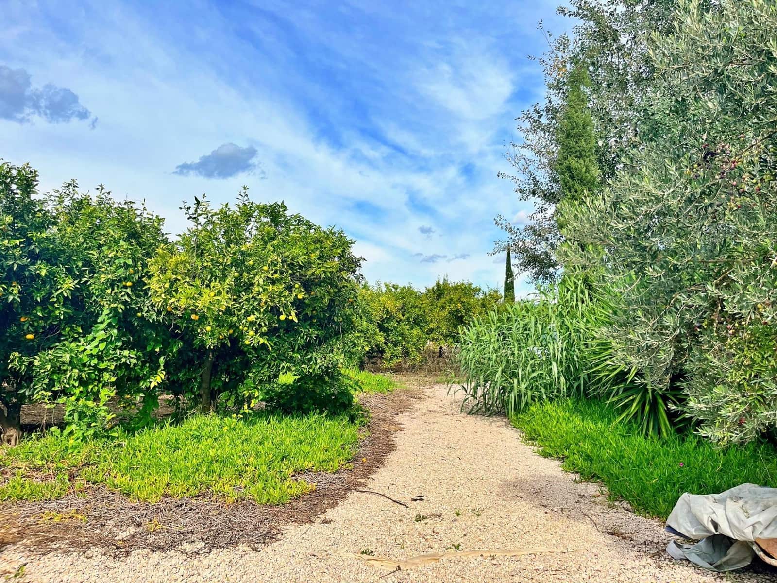 2 soverom Villa til salgs i Bitem - € 315 000 (Ref: 9337952)