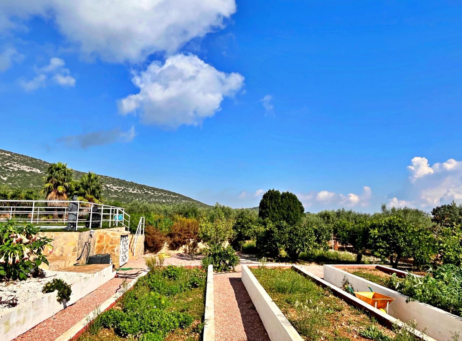 3 slaapkamer Villa te koop in Freginals - € 195.000 (Ref: 9341125)