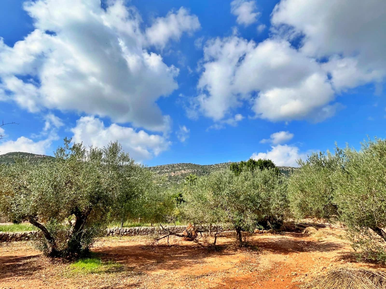 3 slaapkamer Villa te koop in Freginals - € 195.000 (Ref: 9341125)