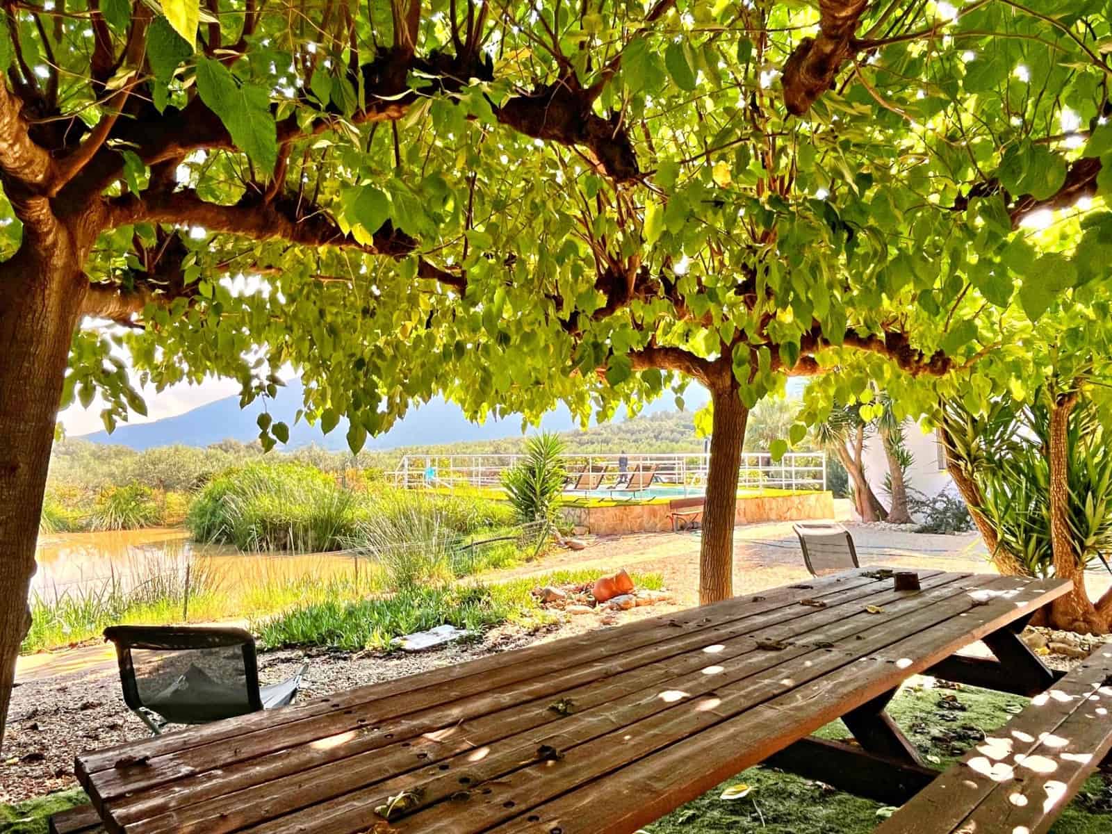 3 slaapkamer Villa te koop in Freginals - € 195.000 (Ref: 9341125)