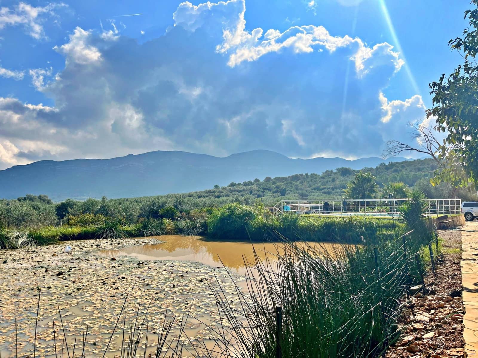 3 slaapkamer Villa te koop in Freginals - € 195.000 (Ref: 9341125)