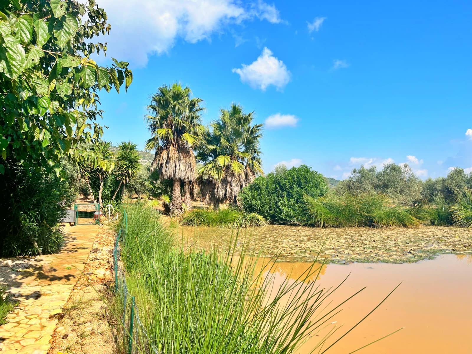 3 slaapkamer Villa te koop in Freginals - € 195.000 (Ref: 9341125)