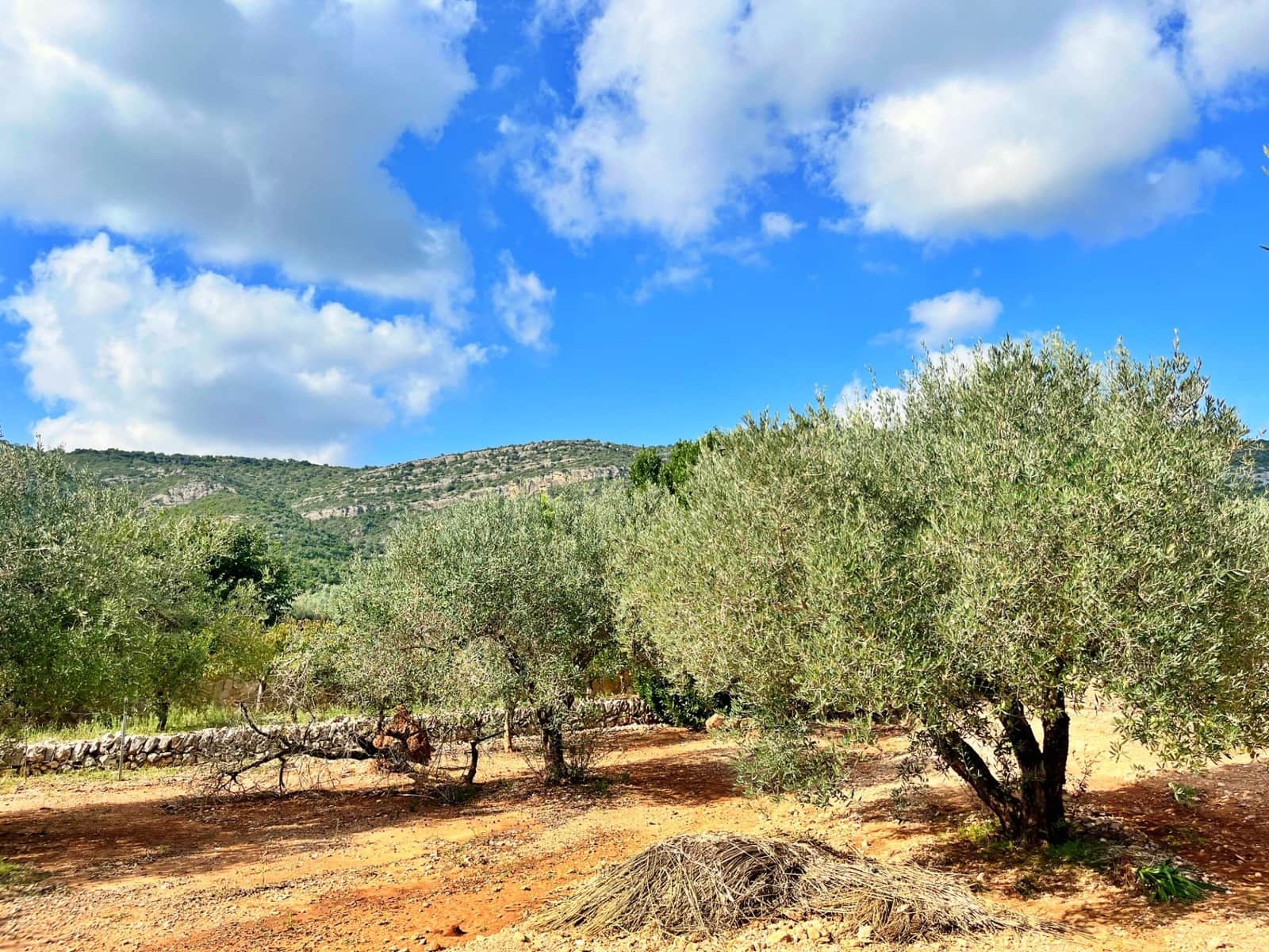 3 slaapkamer Villa te koop in Freginals - € 195.000 (Ref: 9341125)