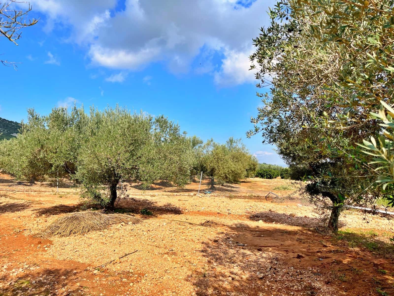 3 slaapkamer Villa te koop in Freginals - € 195.000 (Ref: 9341125)