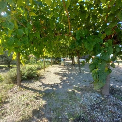 3 slaapkamer Villa te koop in Santa Bàrbara - € 140.000 (Ref: 9347270)